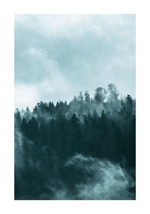 Foggy forest 2 Foggy forest 2