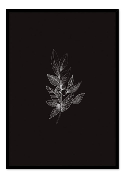 Leaf Black Berry Leaf Black Berry