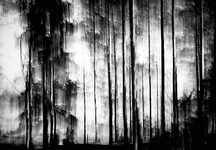 Sad Song - Jacob Berghoef Sad Song - Jacob Berghoef