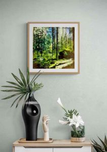 Forest I - Teppo Korte