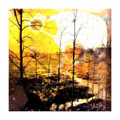 Forest II - Teppo Korte