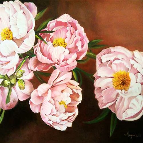 Peonie Rosa - Anna Rita Angiolelli Peonie Rosa - Anna Rita Angiolelli