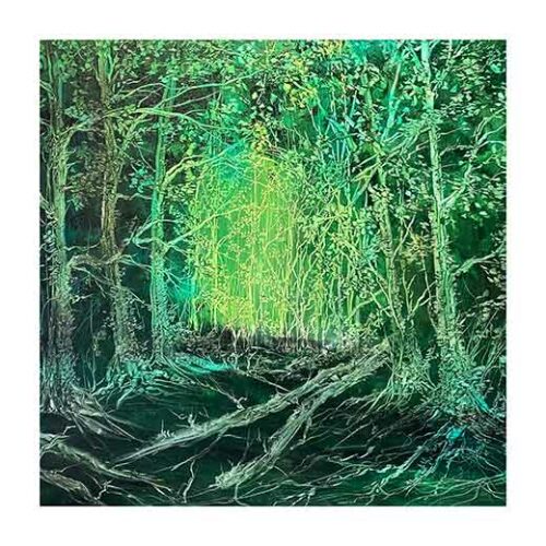 Forest Portal - Tomasz Groma Forest Portal - Tomasz Groma