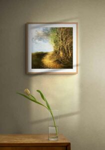 At The Edge Of The Forest - Tomasz Groma At The Edge Of The Forest - Tomasz Groma
