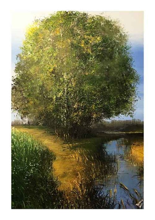 On The Banks of Brook - Tomasz Groma On The Banks of Brook - Tomasz Groma