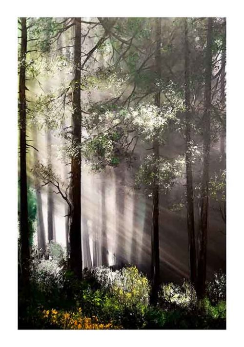 Morning - Tomasz Groma Morning - Tomasz Groma