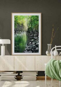 River In The Forest - Tomasz Groma River In The Forest - Tomasz Groma