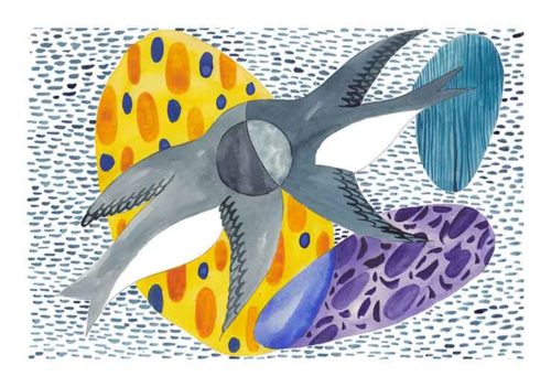 Swallows - Estudio Incierto Swallows - Estudio Incierto