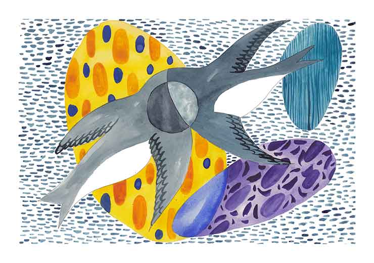 Swallows - Estudio Incierto Swallows - Estudio Incierto
