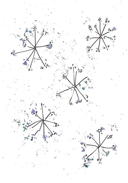 Floral - Estudio Incierto Floral - Estudio Incierto