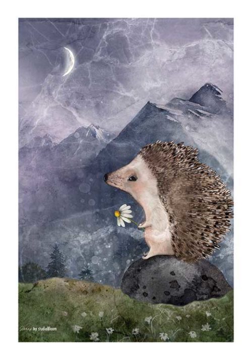 The Day Dreamer - STOROY The Day Dreamer - STOROY