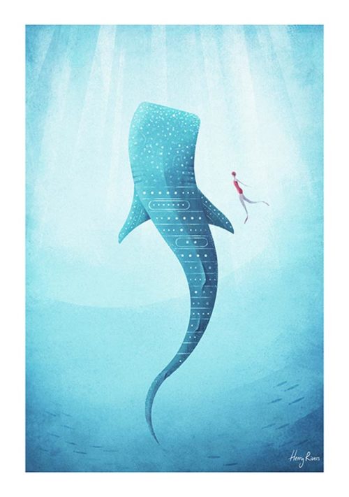Whale Shark - Henry Rivers Whale Shark - Henry Rivers