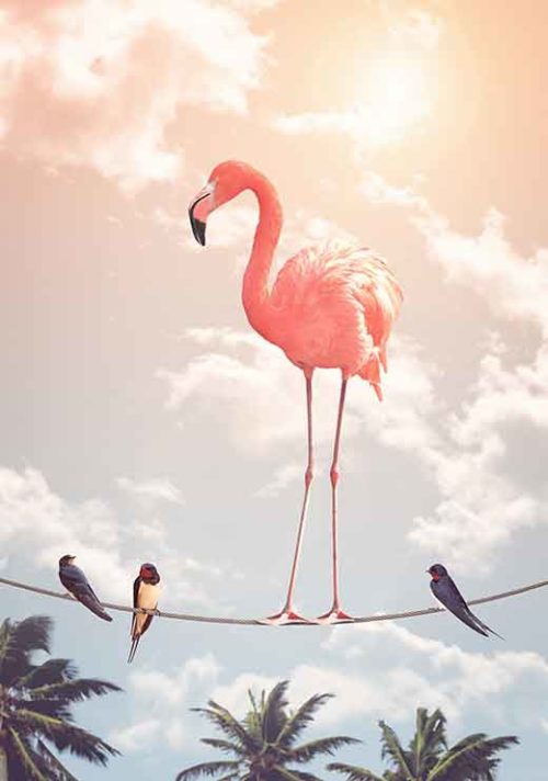 Flamingo & Friends - Jonas Loose Flamingo & Friends - Jonas Loose
