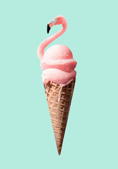 Flamingo Cone - Jonas Loose Flamingo Cone - Jonas Loose