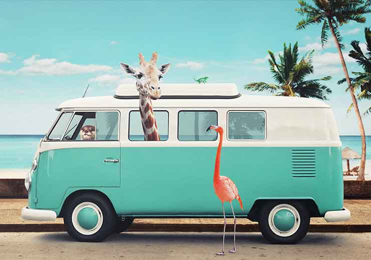 On The Road - Jonas Loose On The Road - Jonas Loose