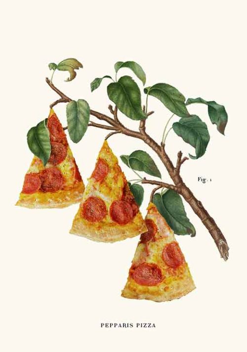 Pizza Plant - Jonas Loose Pizza Plant - Jonas Loose