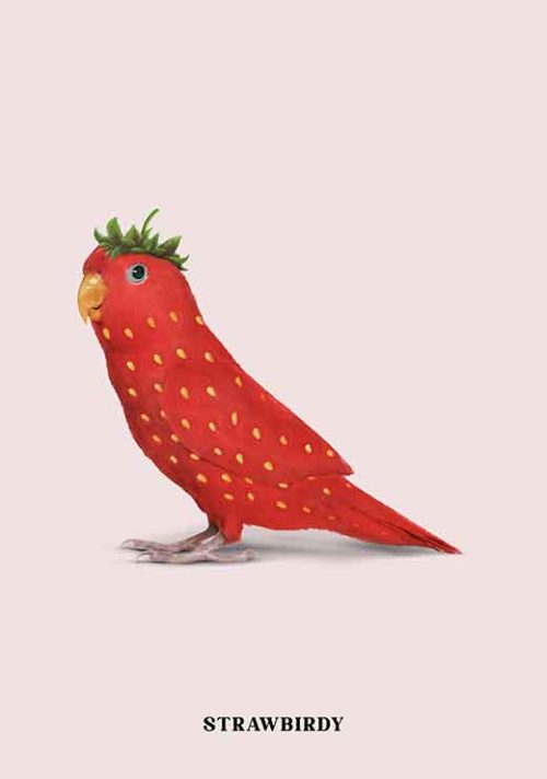 Strawbirdy - Jonas Loose Strawbirdy - Jonas Loose