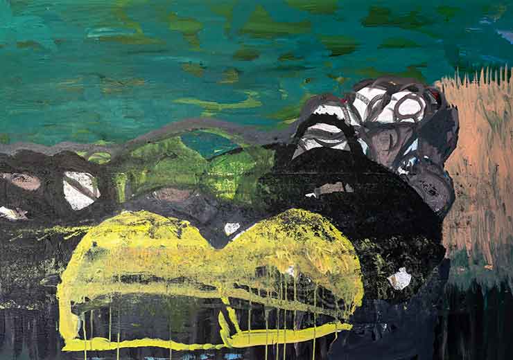 Camouflaged Nature - Joackim Schou Dahle Camouflaged Nature - Joackim Schou Dahle