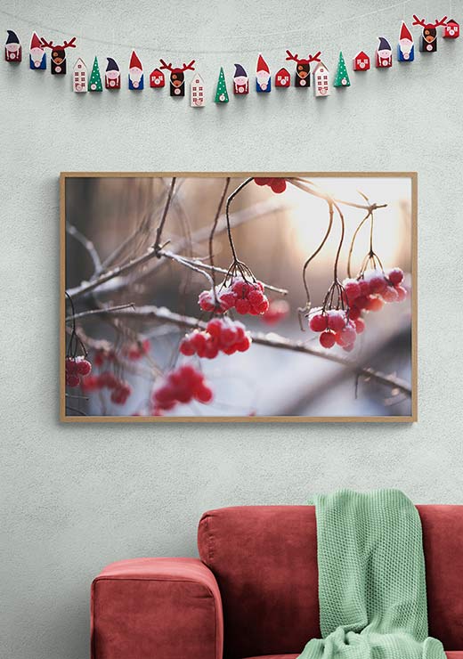 Winterberry Winterberry