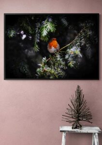 Winter Bird Winter Bird