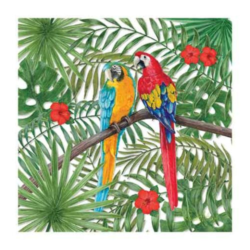 Tropical Forest With Parrots - Renate Holzner Tropical Forest With Parrots - Renate Holzner