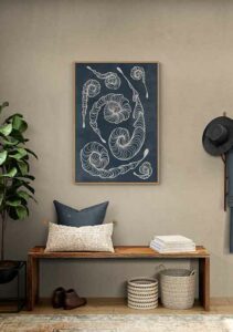 Fossil Spiral Fossil Spiral