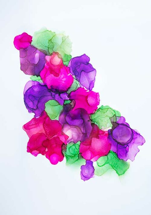 Poppy Flowers - Anna Norén