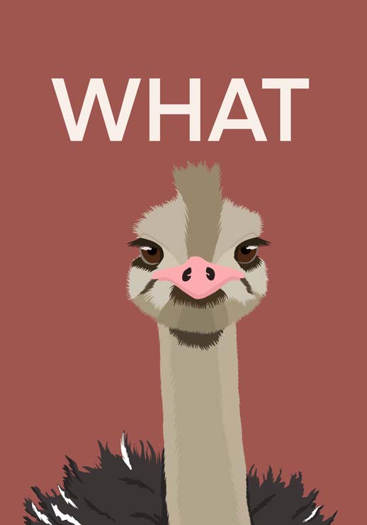 WHAT - ByKammille WHAT - ByKammille