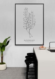 Rosmarin - Stine Rødseth