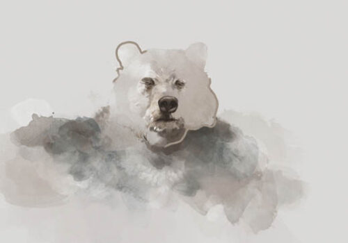 Bear - Gabriella Roberg Bear - Gabriella Roberg