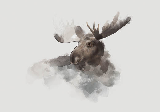 Elk - Gabriella Roberg Elk - Gabriella Roberg