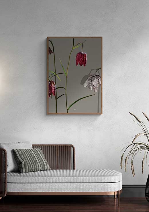 Fritillary - FRA SØS Fritillary - FRA SØS