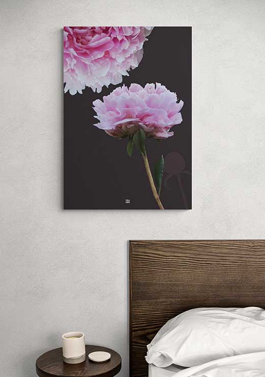 Peony - FRA SØS Peony - FRA SØS