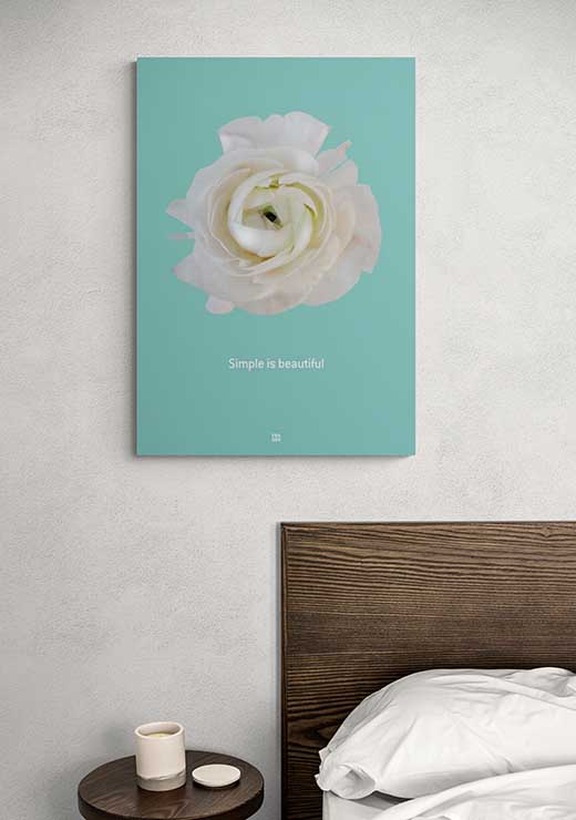 Ranunculus Simple Is Beautiful - FRA SØS Ranunculus Simple Is Beautiful - FRA SØS