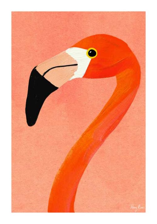 Flamingo - Henry Rivers Flamingo - Henry Rivers