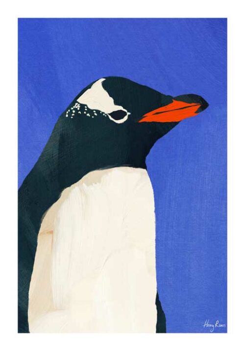 Penguin - Henry Rivers Penguin - Henry Rivers