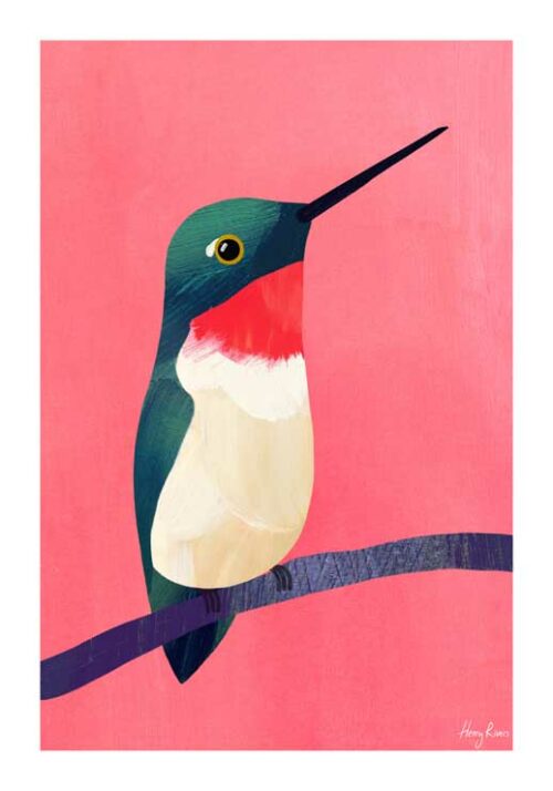 Hummingbird - Henry Rivers Hummingbird - Henry Rivers