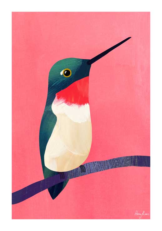 Hummingbird - Henry Rivers Hummingbird - Henry Rivers