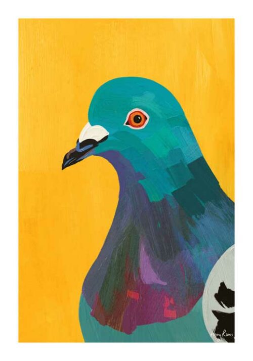 Pigeon - Henry Rivers Pigeon - Henry Rivers