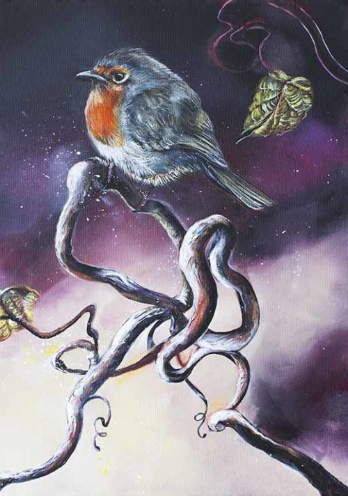 European Robin - Hanna Aguirre European Robin - Hanna Aguirre