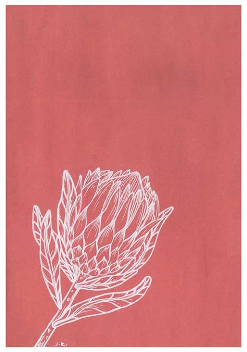 Protea - Agave Designs Protea - Agave Designs