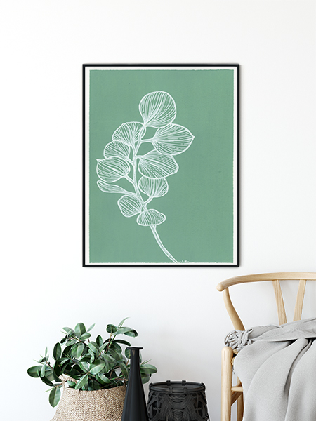 Silver Dollar Eucalyptus - Agave Designs Silver Dollar Eucalyptus - Agave Designs