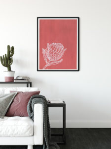 Protea - Agave Designs Protea - Agave Designs