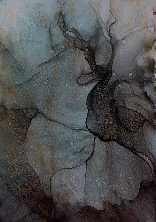 Coral reef - Natalie Lexelius