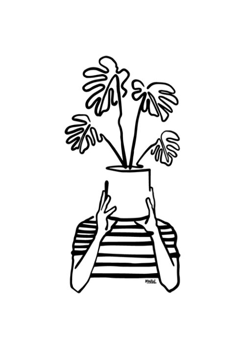 Mood Plants - Ninhol Mood Plants - Ninhol