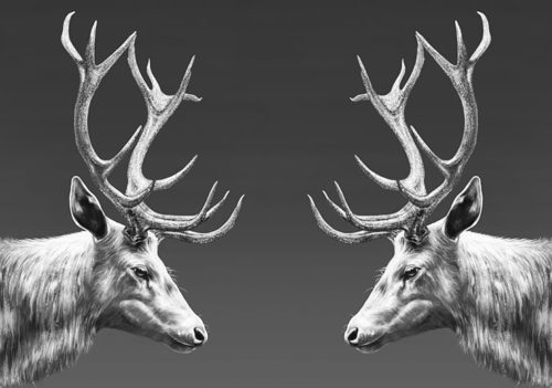 Reindeer Double - Gabriella Roberg Reindeer Double - Gabriella Roberg