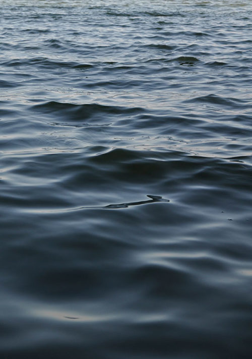Feet In The Water - Studio Nahili
