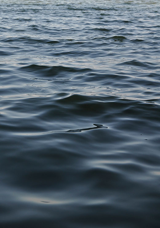Feet In The Water - Studio Nahili Feet In The Water - Studio Nahili