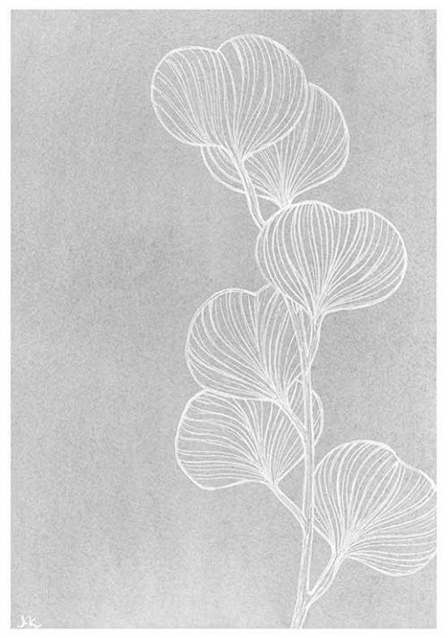 Silver Dollar Eucalyptus #2 BW - Agave Designs Silver Dollar Eucalyptus #2 BW - Agave Designs