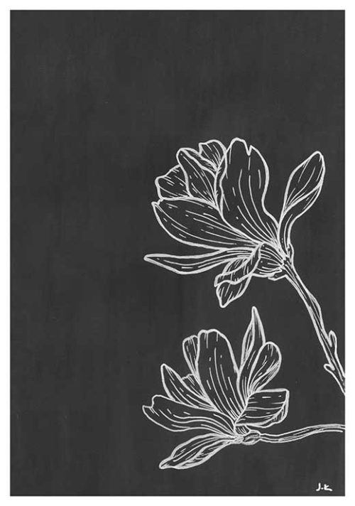 Magnolias BW - Agave Designs Magnolias BW - Agave Designs